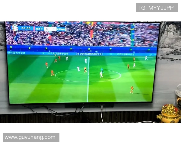 在手机上畅享2016欧洲杯赛事直播随时随地感受足球激情与精彩瞬间